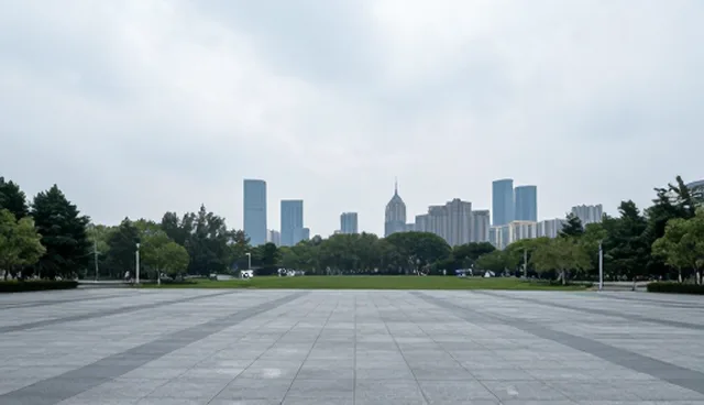 软件运维服务适用条件及限制分析